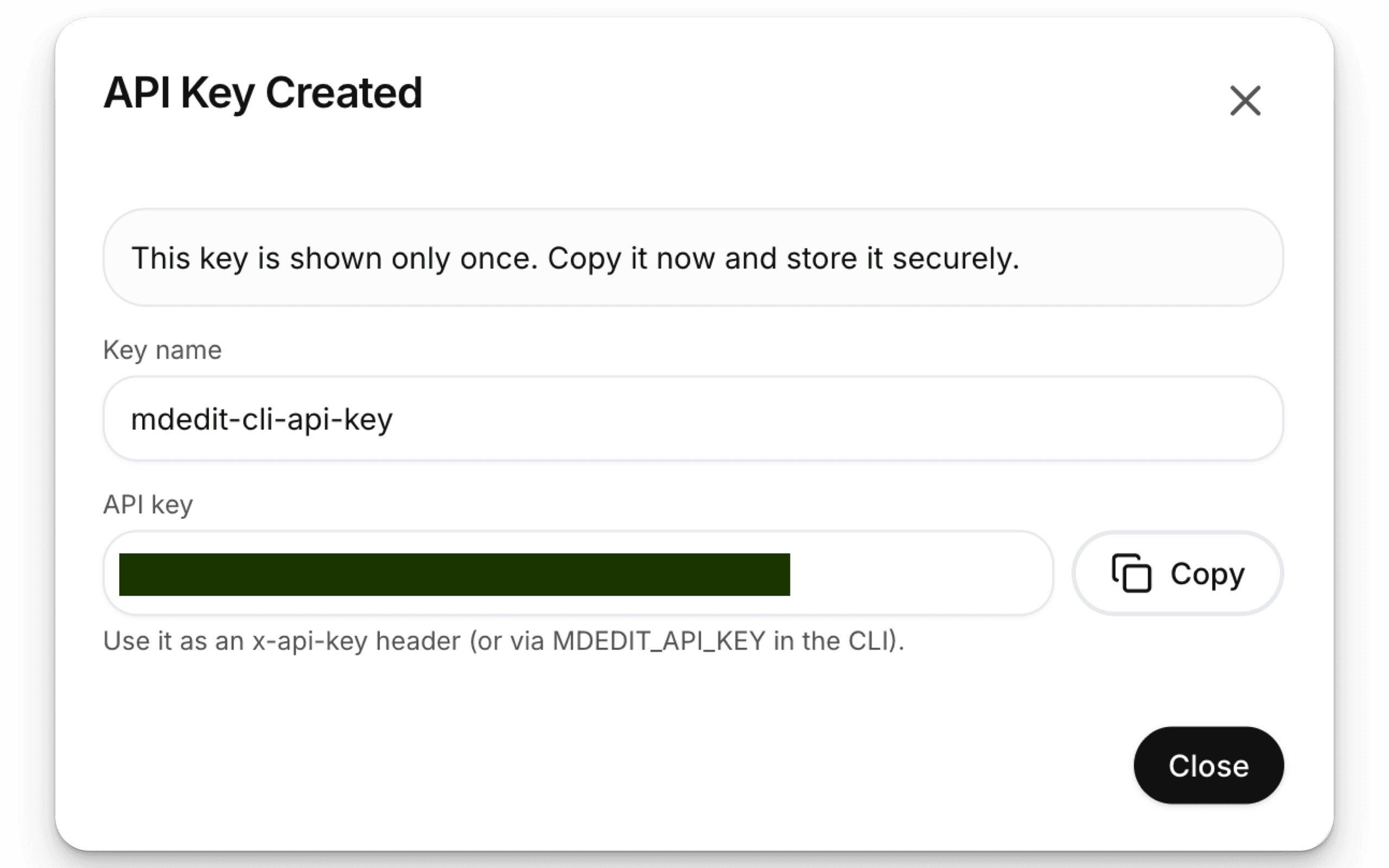 Copy API key (shown once)