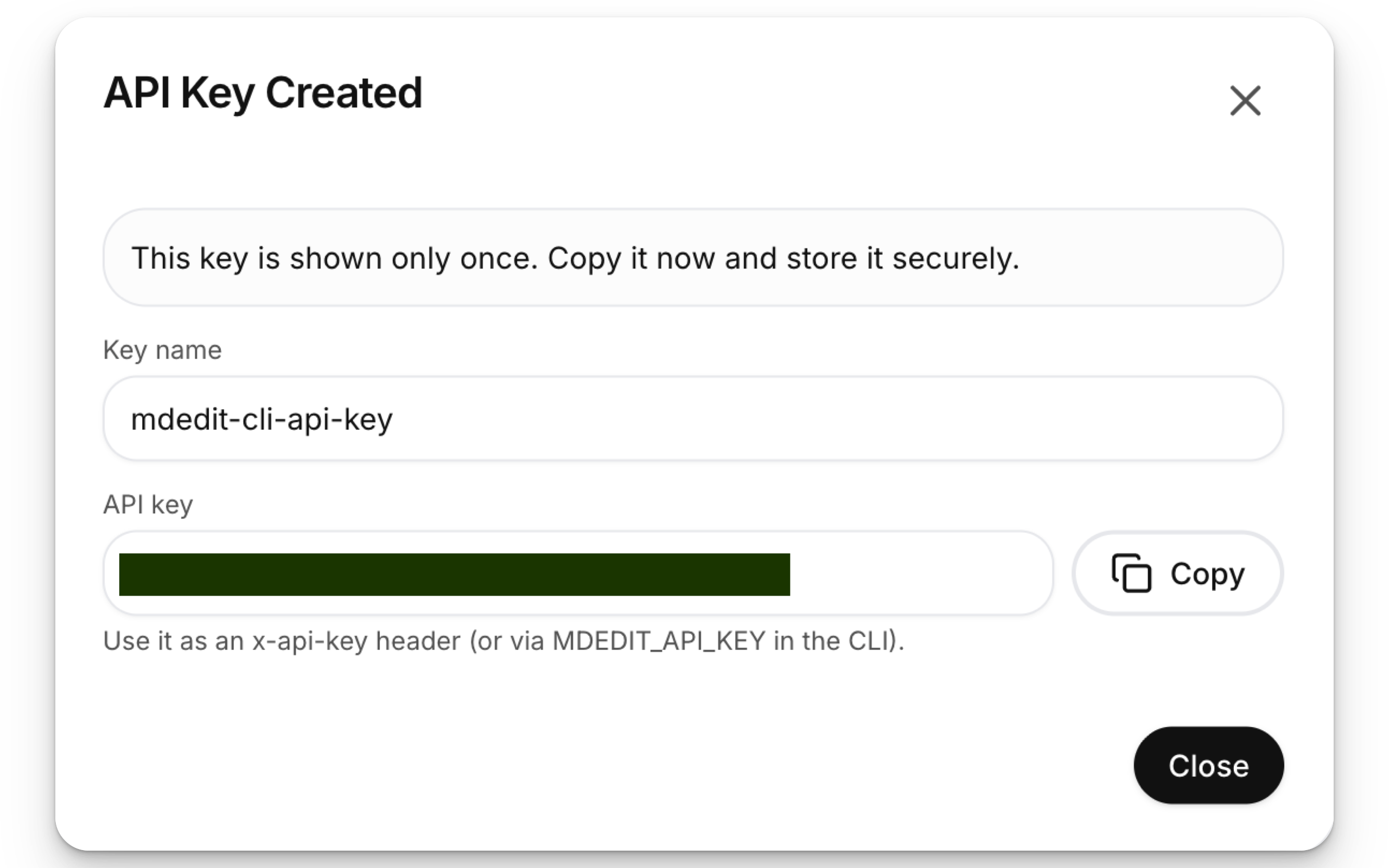 Copy API key (shown once)